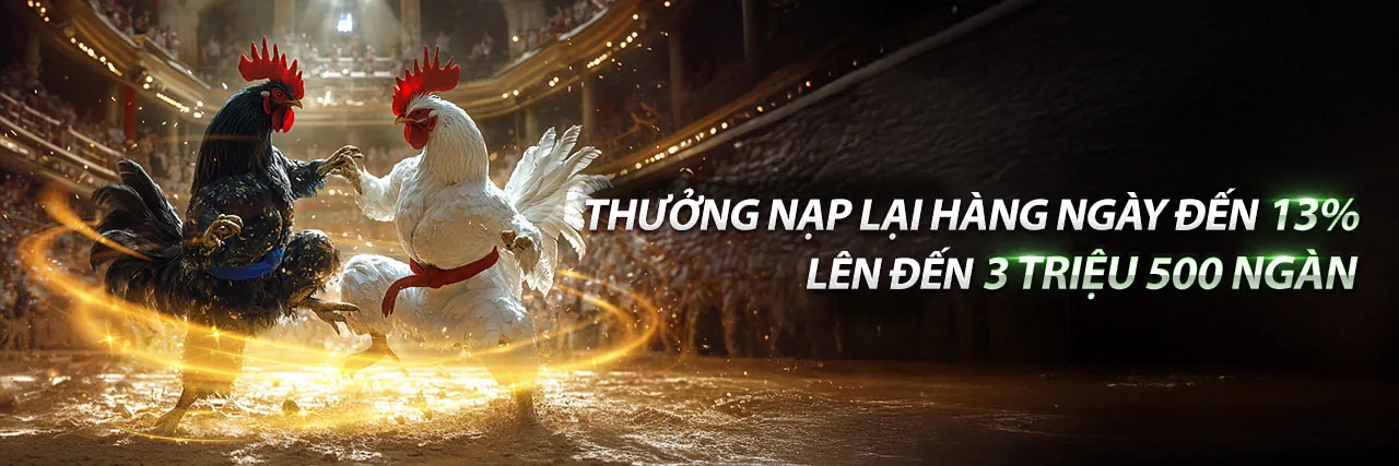 Hình ảnh cá cược thể thao sôi động tại hình 2026
